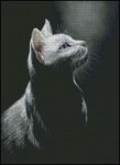 (image for) I See the Light